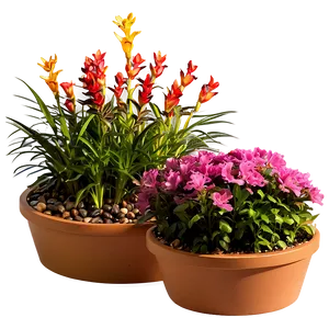Flower Bed Arrangement PNG Bxu PNG