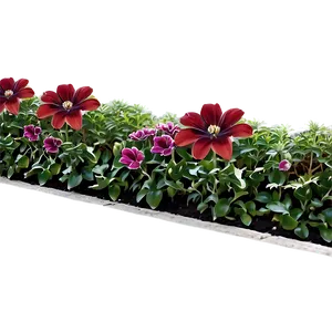 Flower Bed Border Png 06272024 PNG image