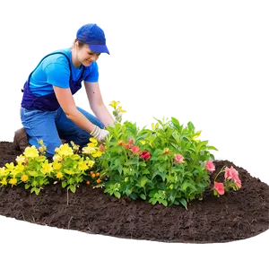 Flower Bed Installation PNG 06272024 PNG