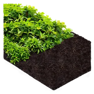 Flower Bed Mulching PNG Toi78 PNG