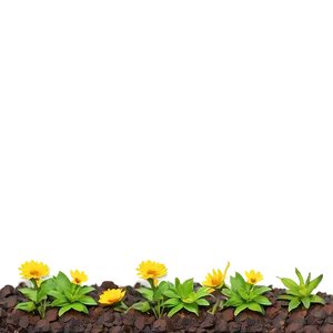 Flower Bed Weed Control PNG 06272024 PNG