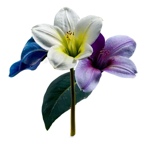 Flower D