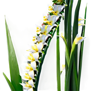 "flower Fantasia: Magical PNG Imagery" C