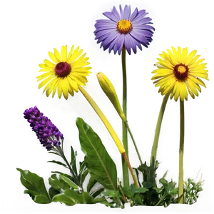 Flower Field Sunset PNG Tyl