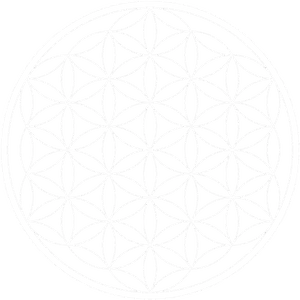 Flower Of Life_ Sacred Geometry.png PNG image