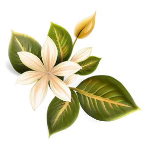 Flower Pattern D PNG