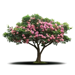 Flower Tree In Secluded Forest PNG Lsi