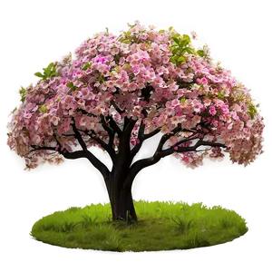 Flower Tree In Secluded Forest PNG Ufg PNG