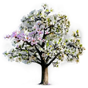 Flower Tree In Springtime PNG 90