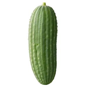 Flowering Cucumber Plant PNG 87 PNG