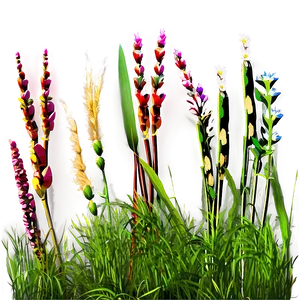 Flowering Grass Stems Png Nbw PNG image