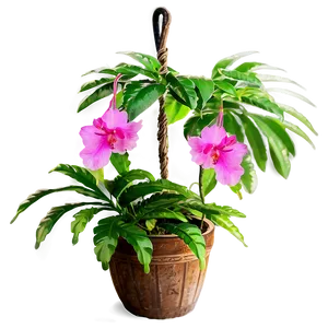 Flowering Hanging Plant Png 05252024 PNG image