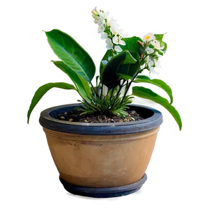 Flowering Plants Png 30 PNG image