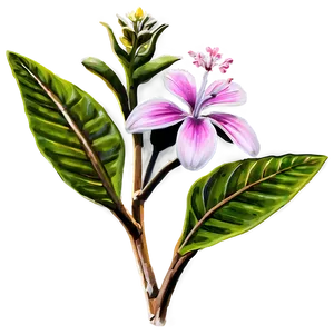 Flowering Plants PNG 96