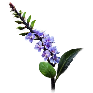 Flowering Plants PNG Sfn