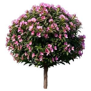 Flowering Shrub PNG Fpr25 PNG