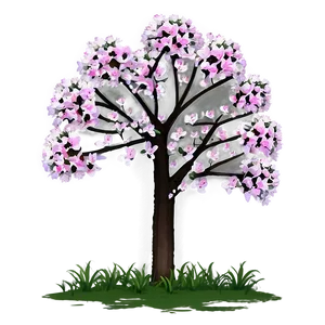 Flowering Tree Elevation PNG Byj52 PNG