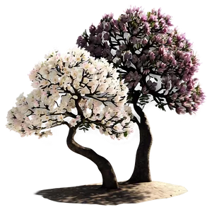 Flowering Tree Elevation PNG Vvs55 PNG
