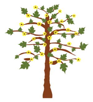 Flowering Tree Illustration