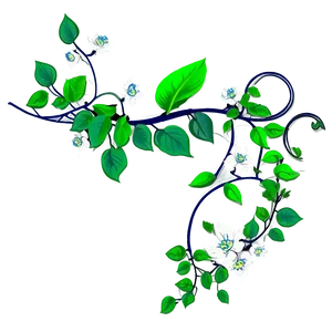 Flowering Vine Illustration PNG image