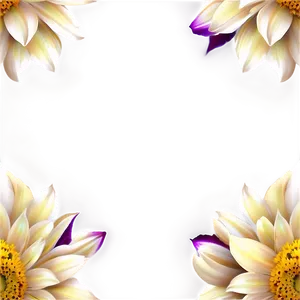 Flowers B