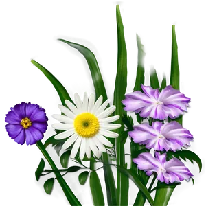 Flowers B