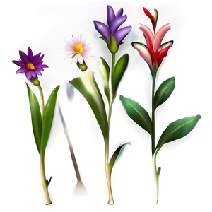 Flowers C