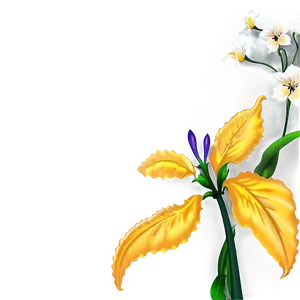 Flowers D