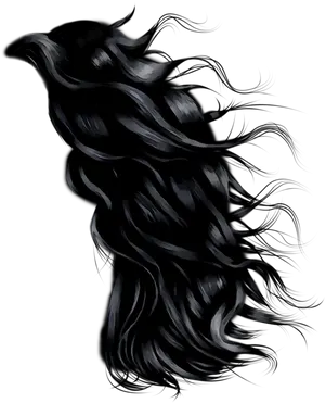 Flowing Black Hair Artwork PNG