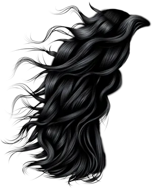 Flowing_ Black_ Hair_ Artwork
