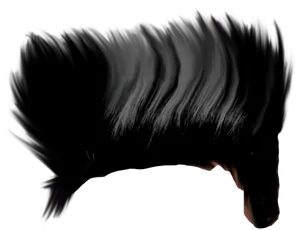 Flowing_ Black_ Hair_in_ Darkness PNG image