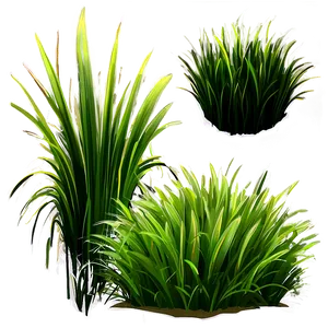 Fluffy Cartoon Grass PNG 06122024