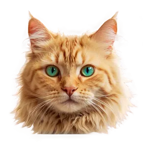 Fluffy Cat Head Picture Png 53 PNG image