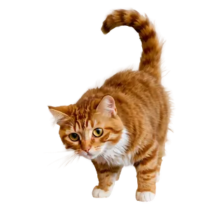 Fluffy Cat Png 05232024 PNG image