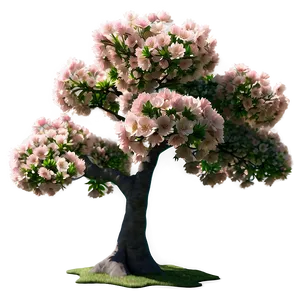 Fluffy Cherry Blossom Tree Png 05242024 PNG image