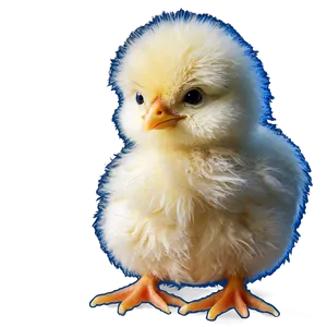 Fluffy Chick PNG 67