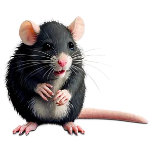 Fluffy Cute Rat PNG Fpw