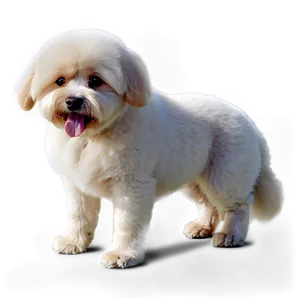 Fluffy Dog Transparent PNG 30