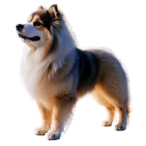 Fluffy Dog Transparent PNG 53 PNG