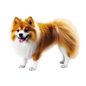 Fluffy Dog Transparent PNG Run