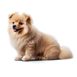 Fluffy Dogs PNG 05242024