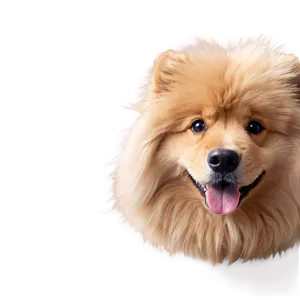Fluffy Dogs PNG 73