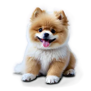 Fluffy Dogs PNG 85