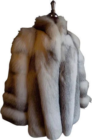 Fluffy Fur Coaton Mannequin PNG image