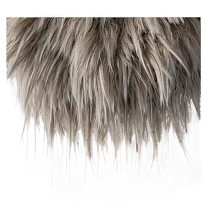 Fluffy Fur Texture Png 77 PNG image