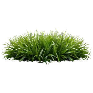 Fluffy Green Grass PNG Ofq PNG