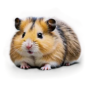 Fluffy Hamster Png Hkm PNG image