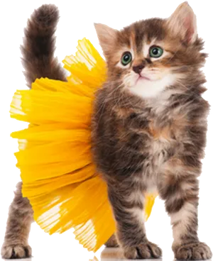 Fluffy Kitten With Yellow Brushstroke Tail PNG