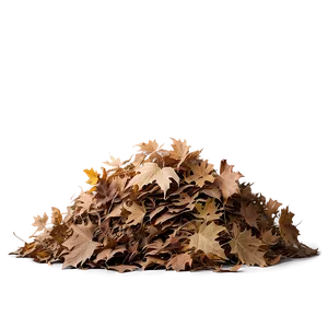 Fluffy Leaf Pile PNG 06202024