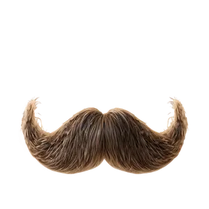 Fluffy Moustache Appearance Png 59 PNG image